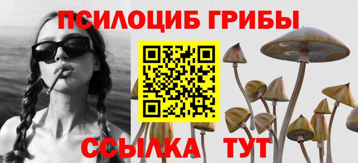 Тамбов  Псилоцибиновые грибы ЛСД  Вход с VPN 